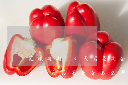 花呗逾期15天后还款会怎么样-花呗逾期15天后还款会怎么样