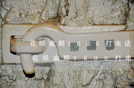 花呗逾期1600打电话说上门是真的吗-花呗逾期1600打电话说上门是真的吗还是假的