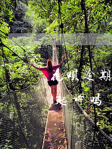 花呗逾期188块钱(花呗逾期188块钱会起诉吗)