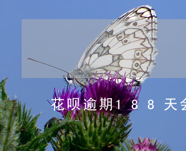 花呗逾期188天会有什么反应-