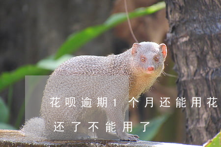 花呗逾期1个月还能用(花呗逾期了几天,现在还了,不能用了)