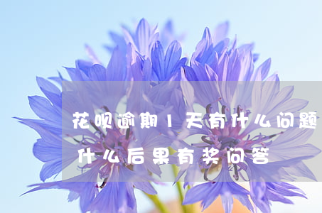 花呗逾期1天有什么问题(花呗逾期1天会有什么后果?,有奖问答)