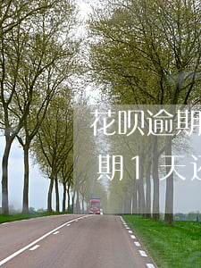 花呗逾期1天还了之后会影响信用-花呗逾期1天还了之后会影响信用吗2021