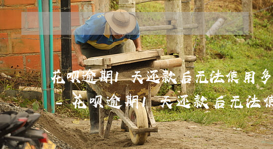 花呗逾期1天还款后无法使用多久才能解冻-花呗逾期1天还款后无法使用多久才能解冻