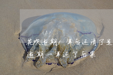 花呗逾期1年后还清了是不是就没事了（花呗逾期一年还了后果）