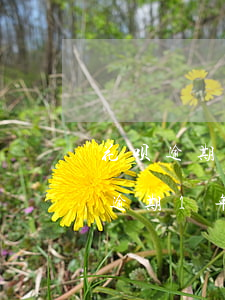 花呗逾期1年多了还清了还能贷款吗-花呗逾期1年多了还清了还能贷款吗怎么办