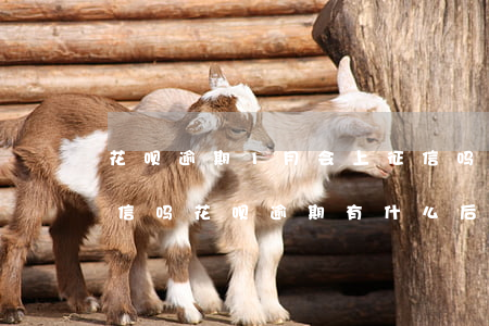 花呗逾期1月会上征信吗(花呗逾期1天上征信吗?花呗逾期有什么后果)
