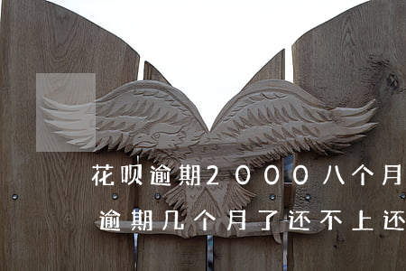 花呗逾期2000八个月了没人联系-花呗逾期几个月了还不上还接到电话催款怎么办