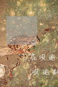 花呗逾期2000块发律师函是真的嘛-花呗逾期2000块发律师函是真的嘛吗
