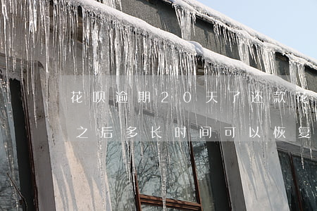 花呗逾期20天了还款(花呗逾期25天还了之后多长时间可以恢复使用)