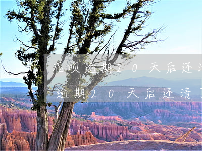 花呗逾期20天后还清了还能使用吗-花呗逾期20天后还清了还能使用吗