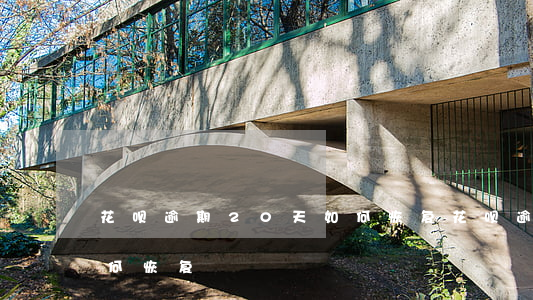 花呗逾期20天如何恢复(花呗逾期20天如何恢复)
