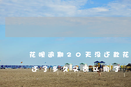 花呗逾期20天没还款(花呗逾期20天多久还了多久又可以用了)