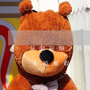 花呗逾期20天被催收了(支付宝花呗逾期几天被催收)
