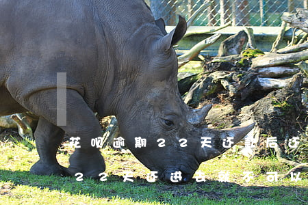 花呗逾期22天还款后还能用吗-花呗逾期22天还进去就不可以使用了吗