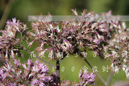 花呗逾期2500会收到律师函吗-花呗逾期2500会收到律师函吗是真的吗