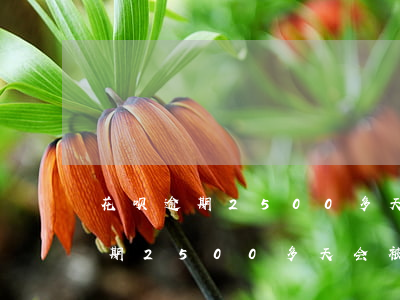 花呗逾期2500多天会被起诉吗-花呗逾期2500多天会被起诉吗知乎