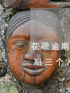 花呗逾期2800会怎样(欠花呗8000逾期三个月了,真的会起诉吗?)