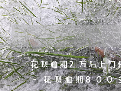 花呗逾期2万后上门催收的人员都是哪儿的-花呗逾期800多天催收来电话就是要上门