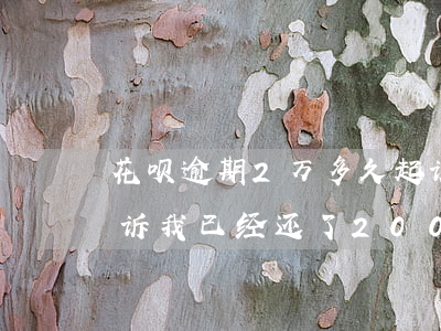 花呗逾期2万多久起诉(花呗逾期多少天会起诉,我已经还了200多)
