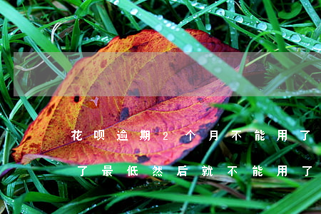 花呗逾期2个月不能用了(花呗逾期两天后还了最低然后就不能用了)