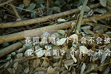 花呗逾期2个月会不会被寄律师函件起诉-花呗逾期2个月会不会被寄律师函件起诉我