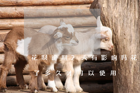 花呗逾期2天有影响吗(花呗逾期了两个月还了多久才可以使用)