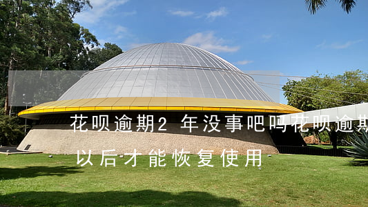 花呗逾期2年没事吧吗(花呗逾期两年多多久以后才能恢复使用)
