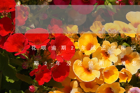 花呗逾期2年没还信用记录怎么办-花呗逾期2年没还信用记录怎么办呢