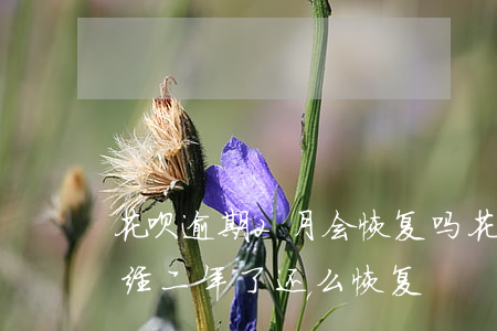 花呗逾期2月会恢复吗(花呗逾期后还完了,已经二年了还么恢复)
