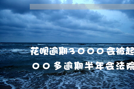 花呗逾期3000会被起诉么(花呗欠款3000多逾期半年会法院起诉吗)