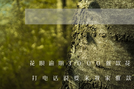 花呗逾期3000催款(花呗欠3000有人打电话说要来我家催款)