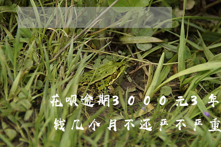 花呗逾期3000元3年(花呗逾期300块钱几个月不还严不严重)