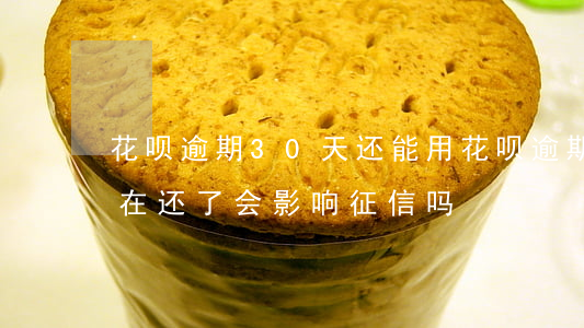 花呗逾期30天还能用(花呗逾期了30天,现在还了,会影响征信吗)