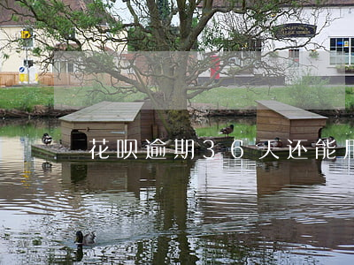 花呗逾期36天还能用吗