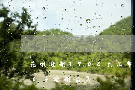 花呗逾期3700判几年(支付宝花呗1000多逾期后果)