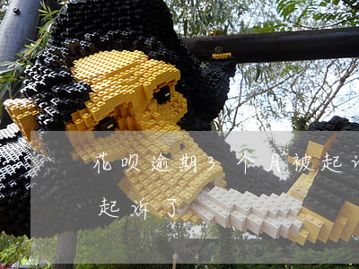 花呗逾期3个月被起诉了（花呗逾期3个月被起诉了）