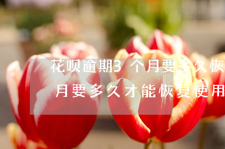 花呗逾期3个月要多久恢复-花呗逾期两个月要多久才能恢复使用