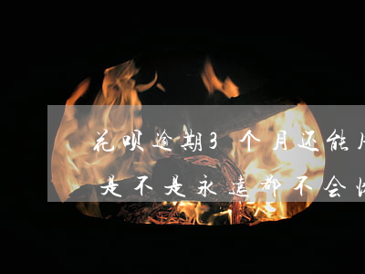 花呗逾期3个月还能用嘛(花呗逾期3个多月是不是永远都不会恢复了)