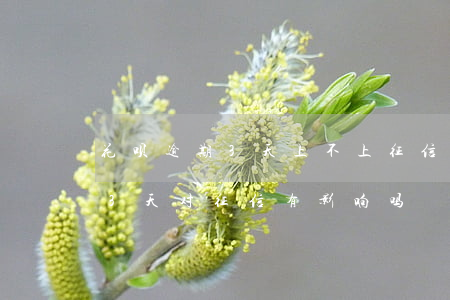 花呗逾期3天上不上征信(花呗不小心逾期了3天,对征信有影响吗)
