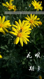 花呗逾期3天还了以后还可以用吗-花呗逾期3天还了以后还可以用吗有影响吗