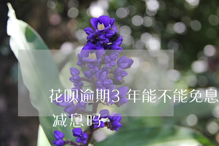 花呗逾期3年能不能免息(支付宝花呗逾期能减息吗)