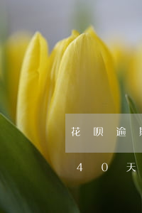 花呗逾期40天还完还可以用嘛-花呗逾期40天还完还可以用嘛