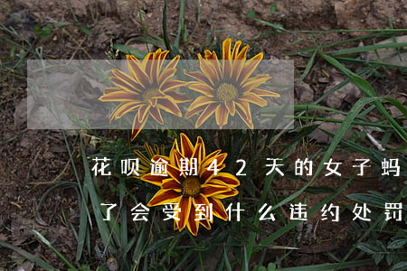 花呗逾期42天的女子(蚂蚁花呗逾期27天了会受到什么违约处罚)
