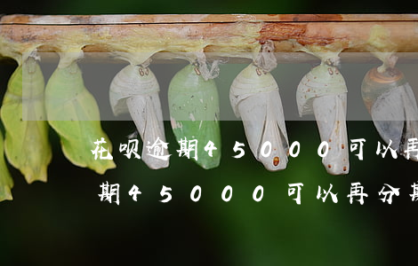 花呗逾期45000可以再分期吗-花呗逾期45000可以再分期吗
