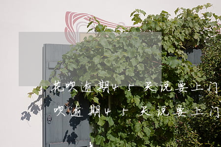 花呗逾期45天说要上门走访是真的吗?-花呗逾期45天说要上门走访是真的吗吗