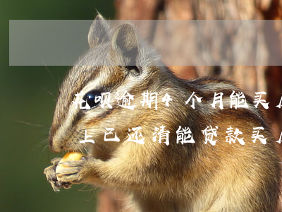 花呗逾期4个月能买房吗(花呗逾期六个月以上已还清能贷款买房吗)