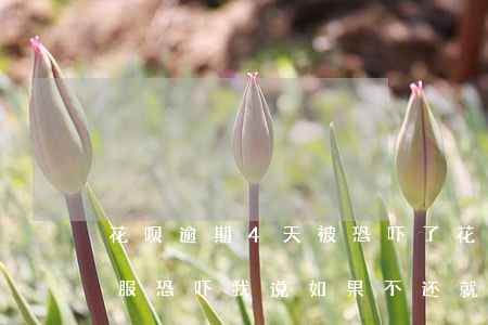花呗逾期4天被恐吓了(花呗逾期1个多月客服恐吓我说如果不还就要还全款是吗)