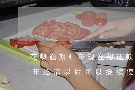 花呗逾期4年现在想还款怎么还(花呗逾期四年还清以后可以继续使用吗)
