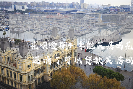 花呗逾期4年能买房吗(花呗有过几次逾期但还清了可以贷款买房吗)